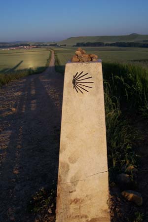 2000signes