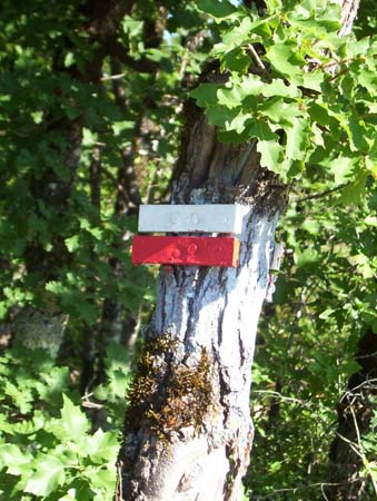 2003signes009