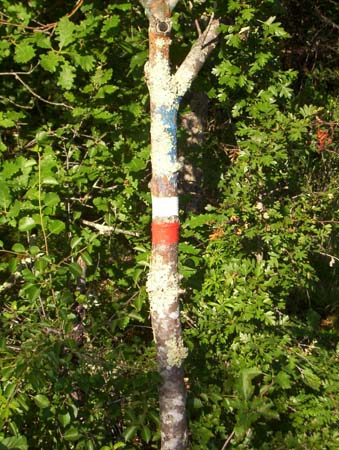 2003signes010