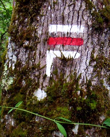 2003signes040