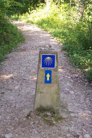 2005signes013