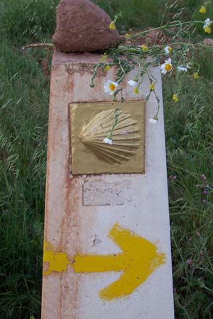 2005signes026
