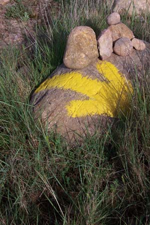 2005signes027