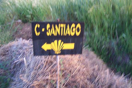 2005signes029
