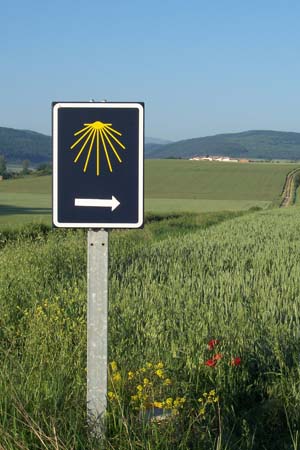 2005signes038