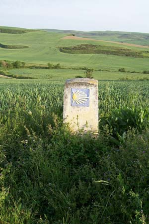 2005signes039