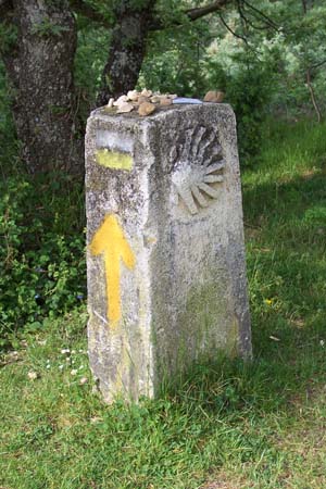 2005signes040