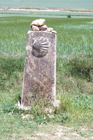 2005signes045
