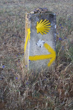 2006signes014