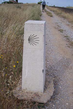2006signes020