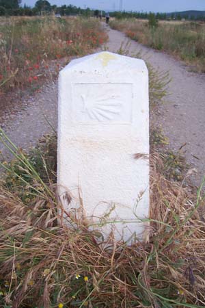 2006signes023