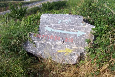 2006signes031