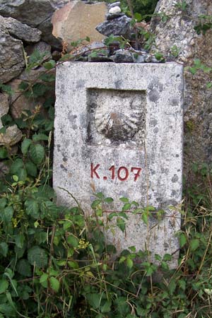 2006signes038