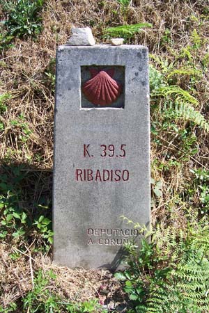 2006signes046