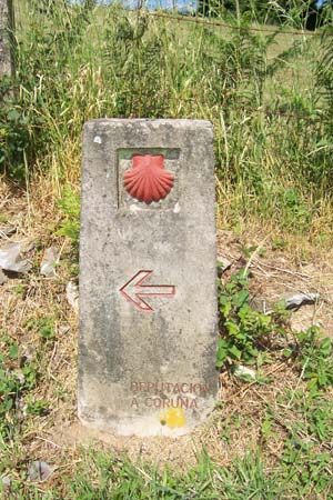 2006signes047