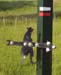 2003signes043