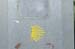 2005signes031