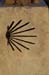 2005signes036