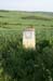 2005signes039