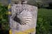 2005signes046