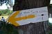 2006signes045