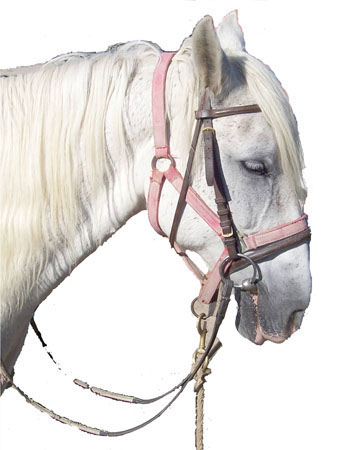 albinos