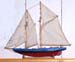 bluenose