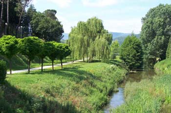 20070614arezzositepublic031